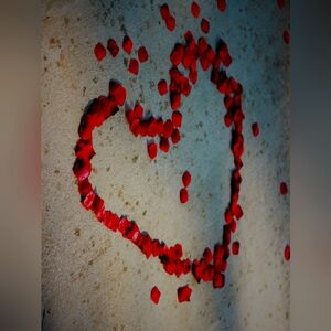 Meet your Posher, Db